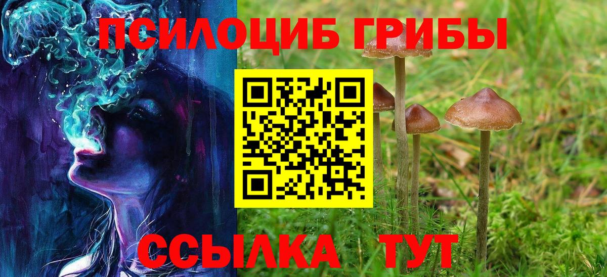 Галлюциногенные грибы Cubensis Карпинск